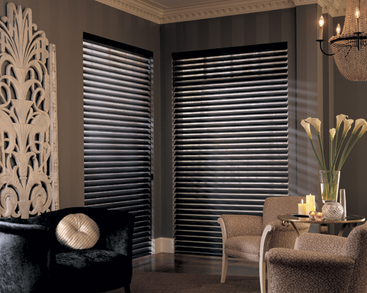 Blinds with a Silhouette Design 