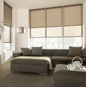 Screen roller blinds